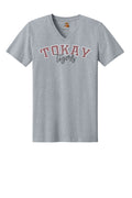 Tokay Tigers Holographic V-neck